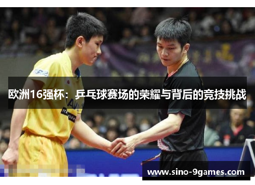 欧洲16强杯：乒乓球赛场的荣耀与背后的竞技挑战