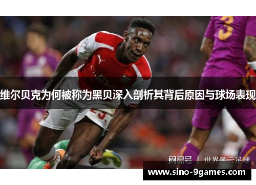 维尔贝克为何被称为黑贝深入剖析其背后原因与球场表现