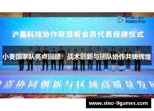 小麦国家队亮点回顾：战术创新与团队协作共铸辉煌