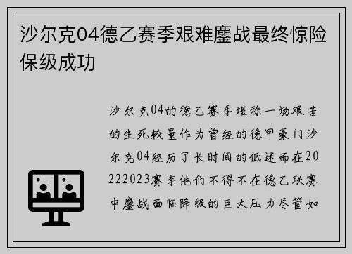 沙尔克04德乙赛季艰难鏖战最终惊险保级成功